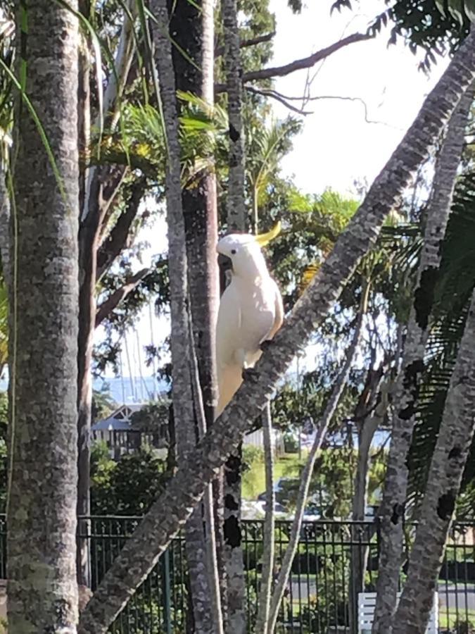 Colonial Palms Motor Inn Airlie Beach Dış mekan fotoğraf