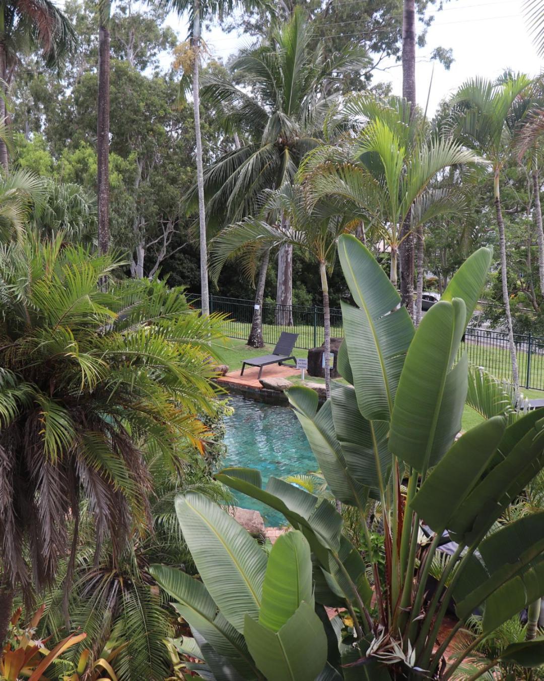 Colonial Palms Motor Inn Airlie Beach Dış mekan fotoğraf