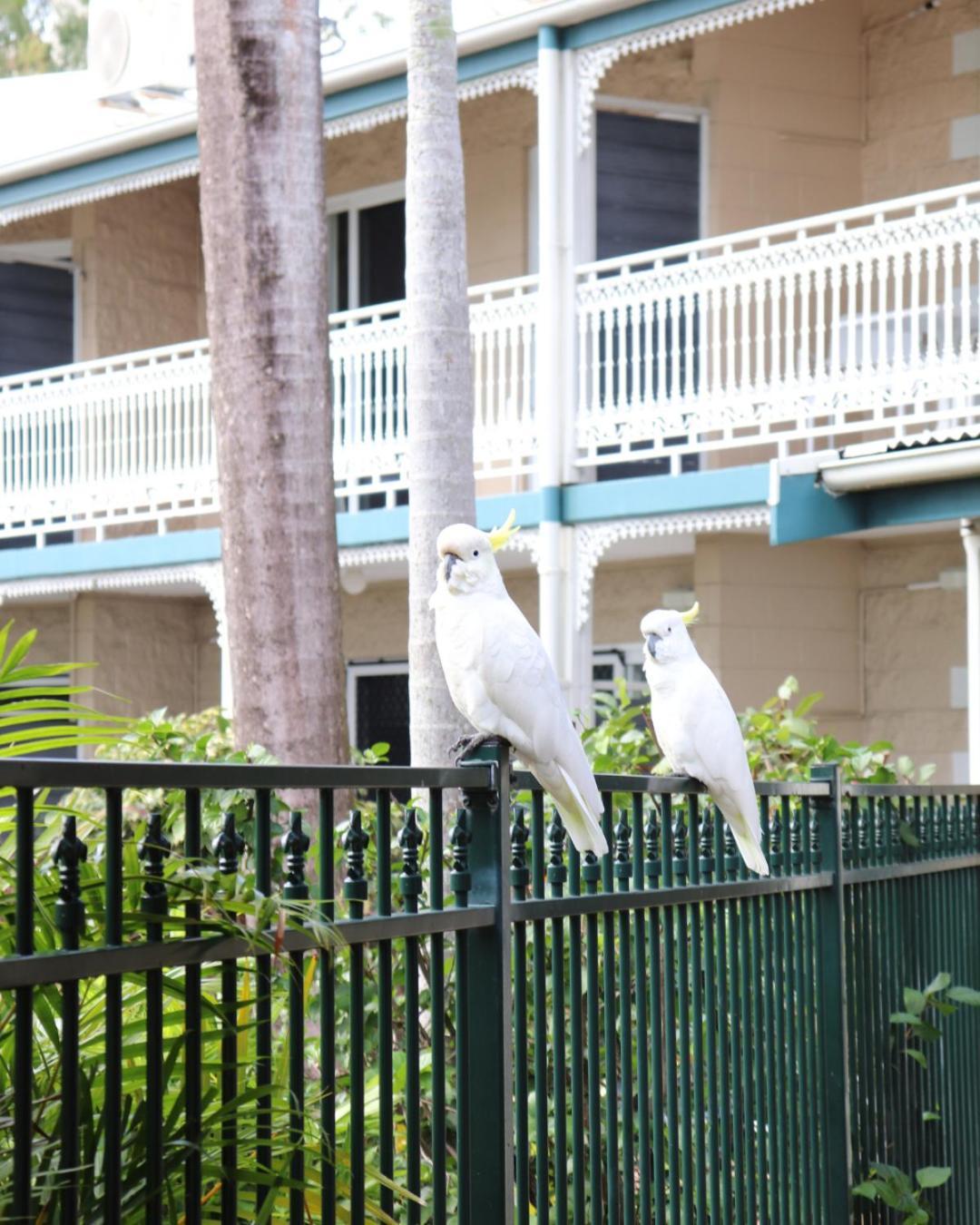 Colonial Palms Motor Inn Airlie Beach Dış mekan fotoğraf