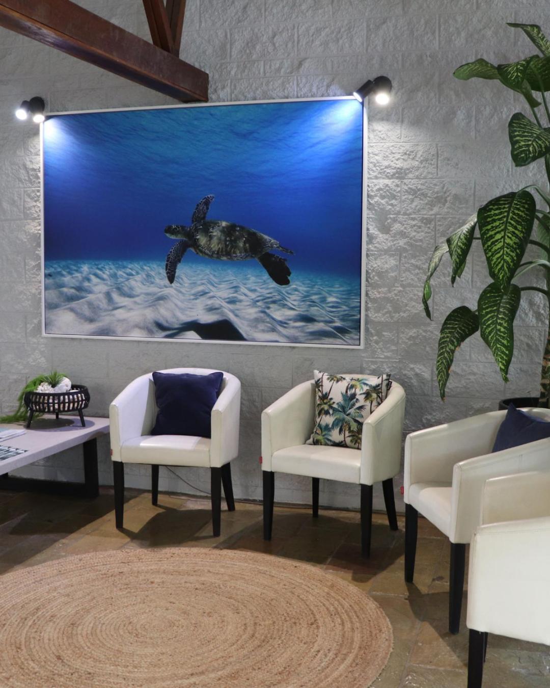 Colonial Palms Motor Inn Airlie Beach Dış mekan fotoğraf